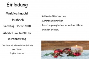 Microsoft Word - Einladung Waldweihnacht Halsbach 2